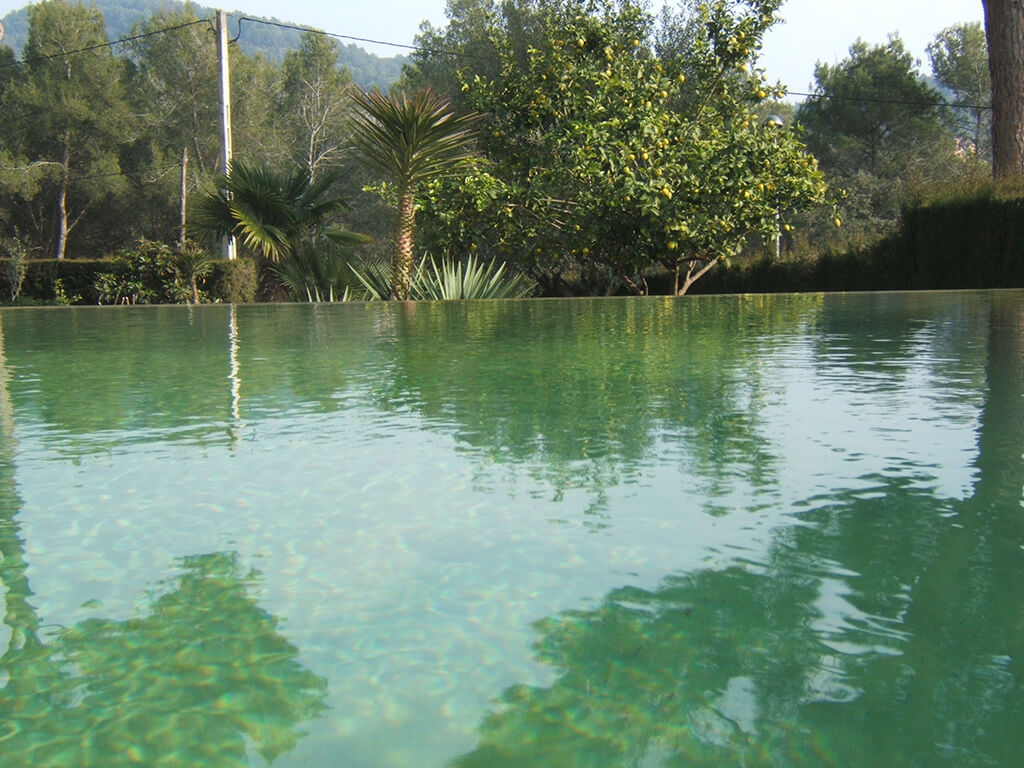 Jardines acuáticos - Casa Bigues