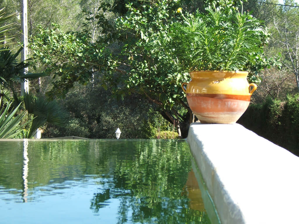 Jardines acuáticos - Casa Bigues