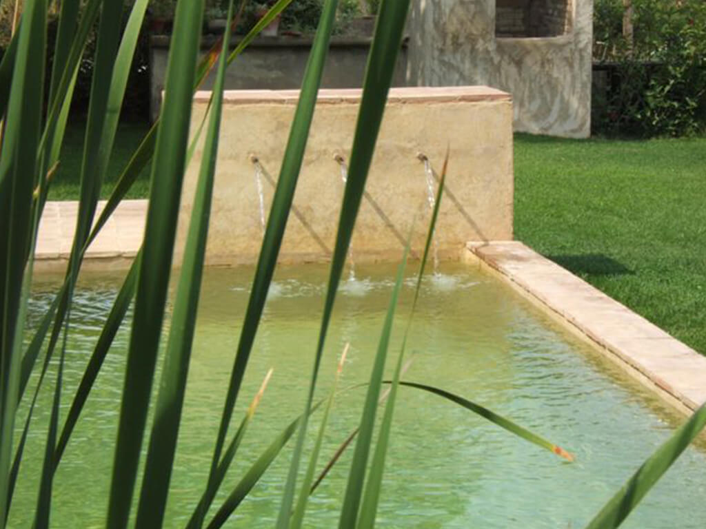 Jardines acuáticos - Casa Manel