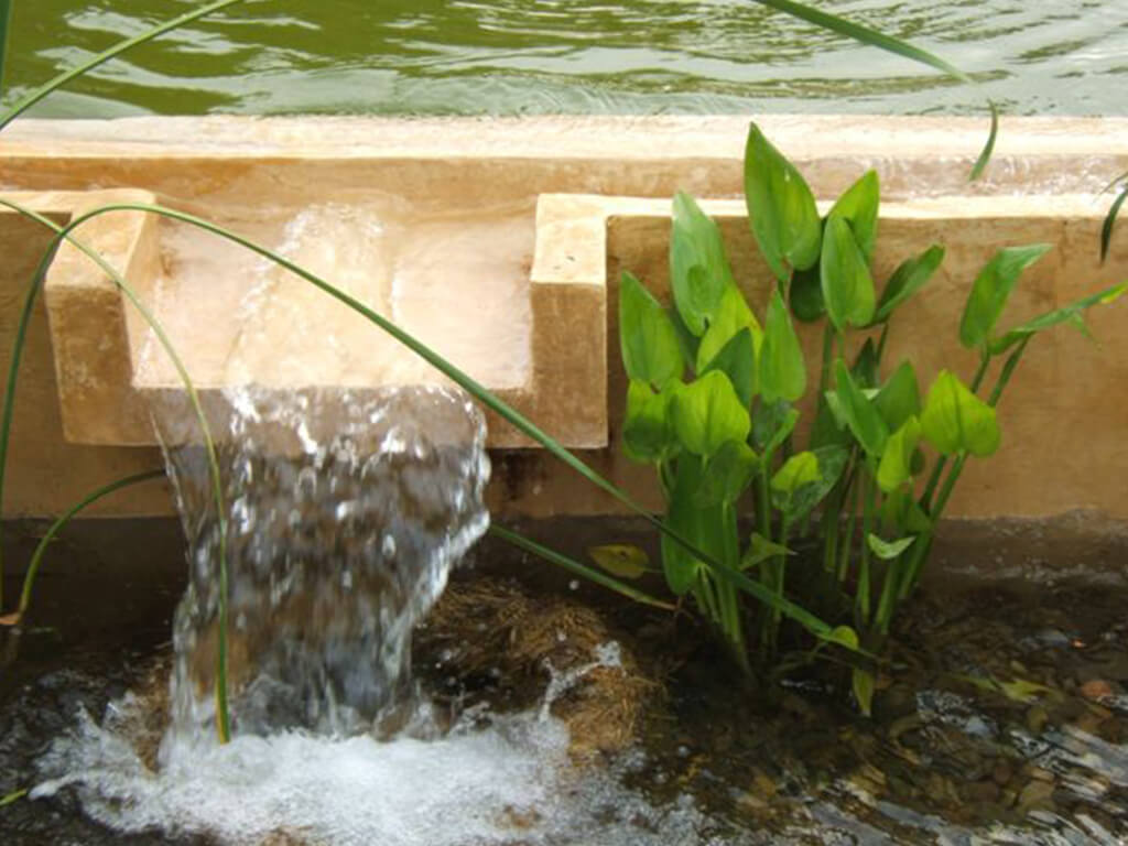 Jardines acuáticos - Casa Manel
