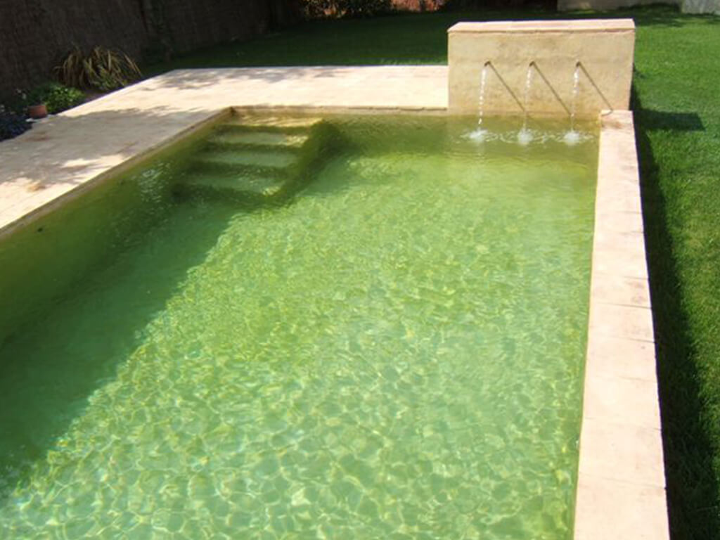 Jardines acuáticos - Casa Manel