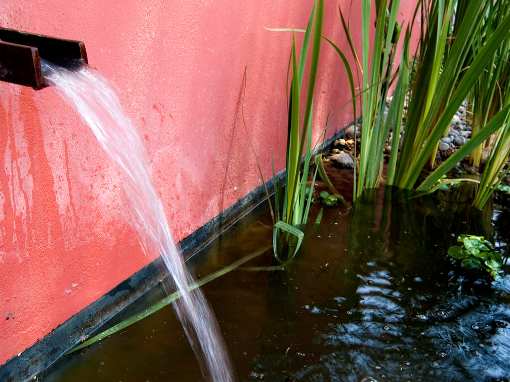 Jardines acuáticos - Casa Taylor