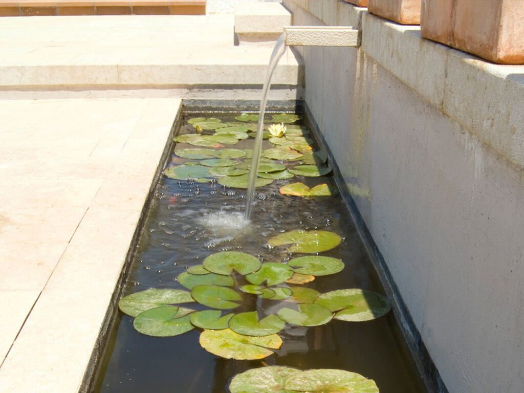 Jardins aquàtics - Casa Taylor