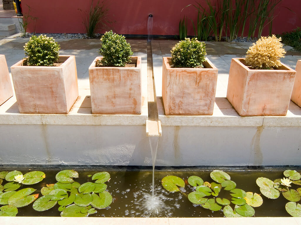 Jardines acuáticos - Casa Taylor