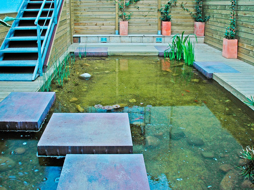 Jardines acuáticos - Casa Roger
