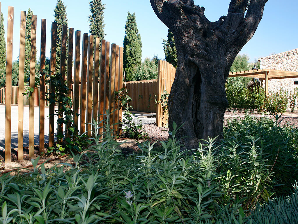 Tanques i gelosies - Mas Pau