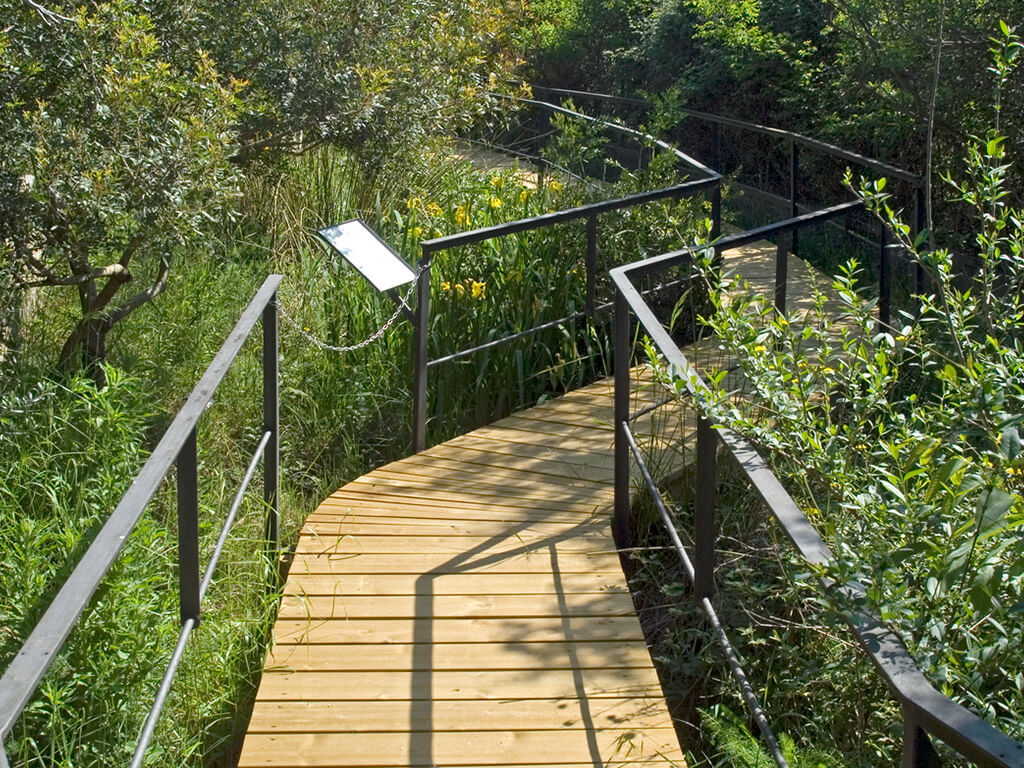 Tarimes - Centre de Reproducció de Tortugues