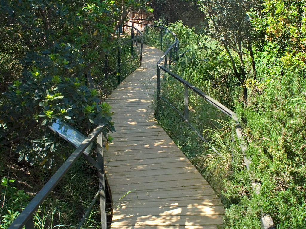 Tarimes - Centre de Reproducció de Tortugues