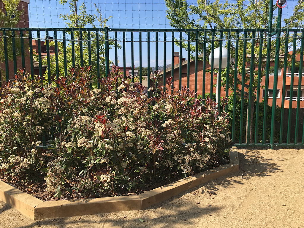 Espacios públicos - Escola Font d'en Fargas