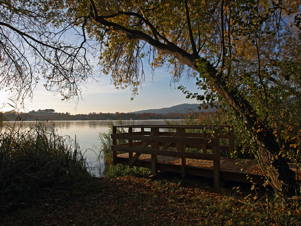 Espacios públicos - Aguaït dels Amaradors