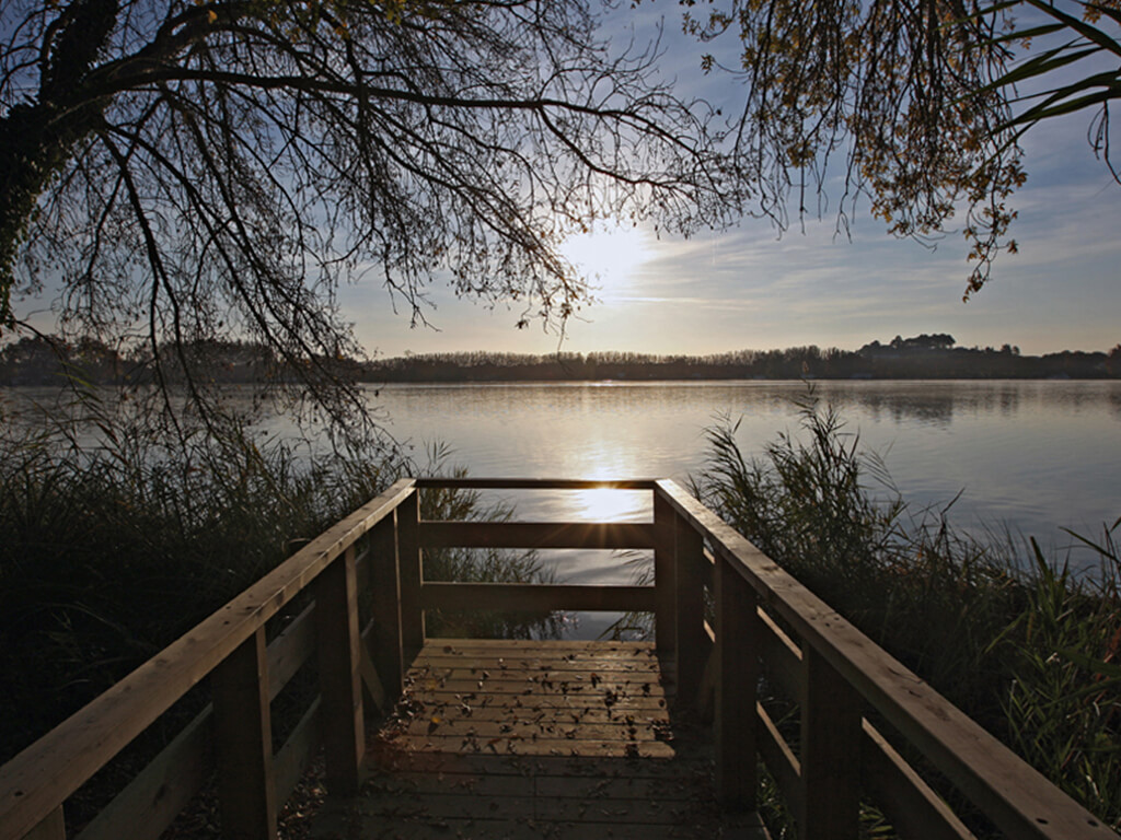 Espacios públicos - Aguaït dels Amaradors