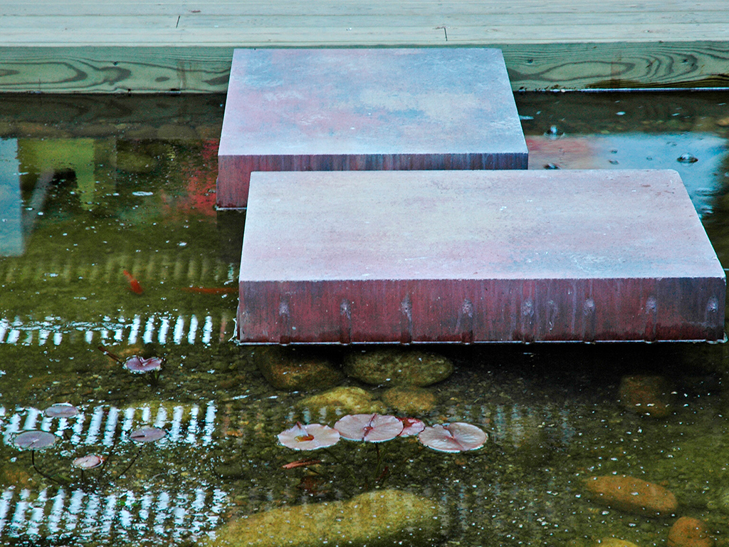 Jardins aquàtics - Casa Roger