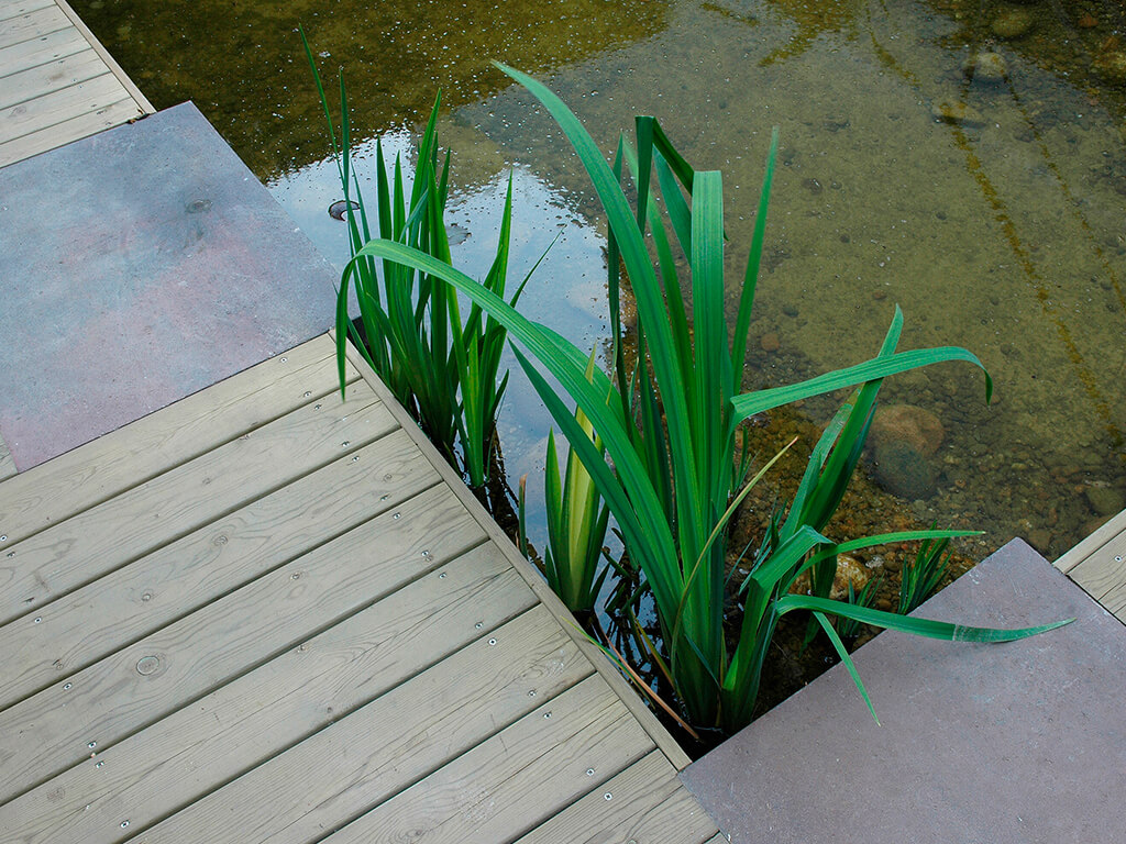 Jardins aquàtics - Casa Roger