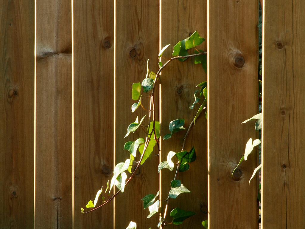 Tanques i gelosies - Mas Pau