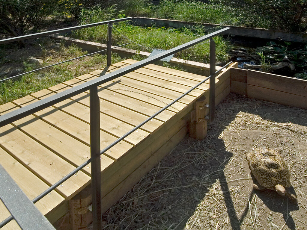 Tarimes - Centre de Reproducció de Tortugues